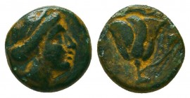 Greek Coins. Ae (1st century BC).
Condition: Very Fine



Weight: 1.5 gr
Diameter: 10 mm