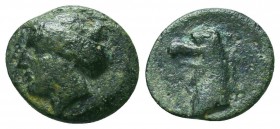 Greek Coins. Ae (1st century BC).
Condition: Very Fine



Weight: 1.8 gr
Diameter: 13 mm