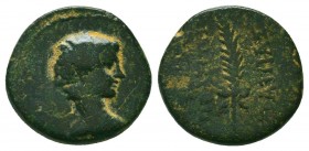 Augustus (27 BC-14 AD). Ae.
Condition: Very Fine



Weight: 3.4 gr
Diameter: 16 mm