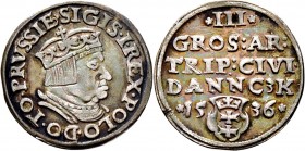 Ausländische Münzen und Medaillen
Polen-Danzig, Stadt. Sigismund I. 1506-1548. 
3 Gröscher 1536. Kopicki 7328 (R3), Gum. 569.
feine Patina, kleine ...