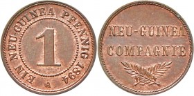 Deutsche Münzen und Medaillen ab 1871
Nebengebiete. Deutsch-Neuguinea. 
1 Neu-Guinea-Pfennig 1894 A. J. 701.
vorzüglich-Stempelglanz