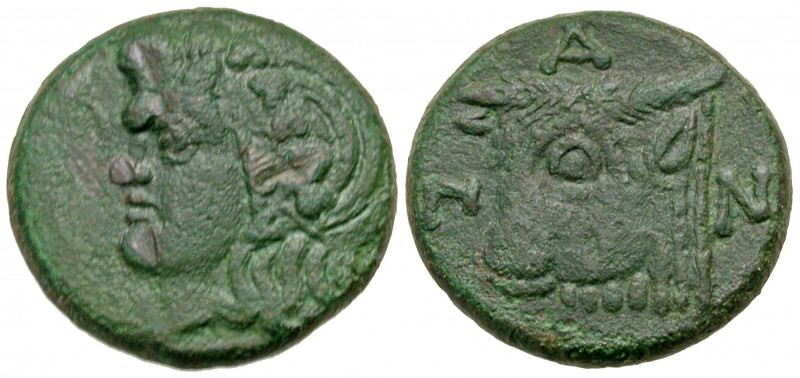 Cimmerian Bosporos, Pantikapaion. Circa 325-310 B.C. AE 26 (26 mm, 16.08 g, 6 h)...