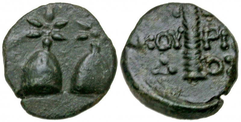 Kolchis, Dioskourias. Late 2nd Century B.C AE 17 (16.6 mm, 3.34 g, 1 h). Caps of...