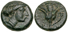 Islands off Caria, Rhodos. Rhodes. 350-300 B.C. AE 11 (11 mm, 1.22 g, 12 h). Nymph Rhodos, diademed head right, hair rolled / Rose with bud on right; ...