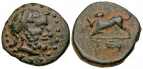Pisidia, Termessus Major. 1st century B.C. AE 14 (13.5 mm, 1.86 g, 2 h). Laureate head of Zeus right / TEP, bull butting left. SNG France 2100; Weber ...