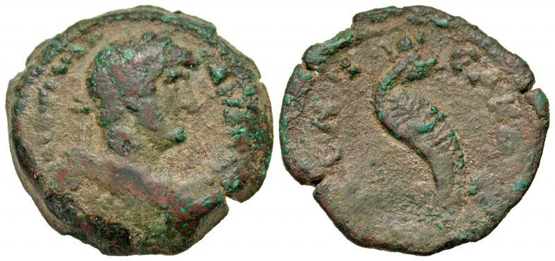 Egypt, Alexandria. Hadrian. A.D. 117-138. AE diobol (24.7 mm, 8.93 g, 12 h). Dat...
