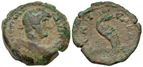 Egypt, Alexandria. Hadrian. A.D. 117-138. AE diobol (24.7 mm, 8.93 g, 12 h). Dated RY 19 = A.D. 134/5. AYT KAIC TPAIAN AΔPIANOC CЄB, laureate, draped ...