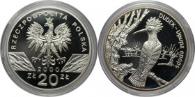Europäische Münzen und Medaillen, Polen / Poland. Wiedehopf. 20 Zlotych 2000. 28,28 g. 0.925 Silber. 0.84 OZ. KM Y# 387. Polierte Platte