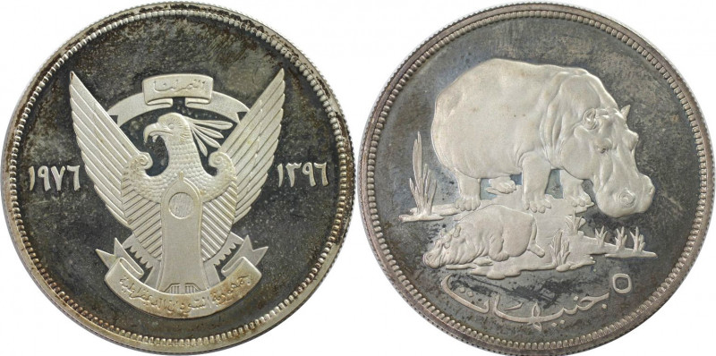 Weltmünzen und Medaillen, Sudan. Nilpferd. 5 Pounds 1976. 35,0 g. 0.925 Silber. ...