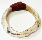 PAPUA NEW GUINEA: boars tusk ornament, 95mm, with red cloth binding the tusks together, these types of 'personal decorations' were used as money, VF, ...