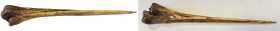 PAPUA NEW GUINEA: bone dagger (48.13g), 255mm, animal leg bone with one sharpened end, made ca. 1920's, VF, ex Charles Opitz Collection. 
Estimate: U...