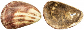 PAPUA NEW GUINEA:Opitz pg. 236, 78mm, used on Rossel Island (Yela), VF, R, ex Charles Opitz Collection. Culturally and linguistically distinct from th...