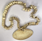 PAPUA NEW GUINEA: shell necklace, 40cm (16") in length, 104 conus shell discs with a bailer shell pendant, each hand filed down for a flattened appear...