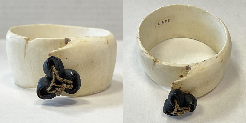 PAPUA NEW GUINEA: toea arm shell ring, 67mm, conus shell ring with banana seed d...