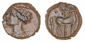 Monedas Antiguas
Zeugitania
AE-16. Cartago. (400-350 a.C.). A/Cabeza de Tanit a izq. R/Caballo parado a der., detrás palmera y punto. 2.76g. SNG Cop...