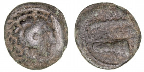 Monedas Antiguas
Reino Macedonio
Alejandro Magno
AE-22. (336-323 a.C.). A/Cabeza de Hércules con piel de león a der. R/Clava, carcaj y ley. GC.6739...