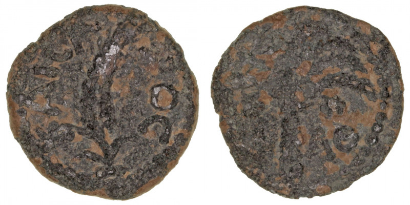 Monedas Antiguas
Judea
Marco Ambibolus
Prutah. AE. (9-12 d.C.). Prefectos y P...