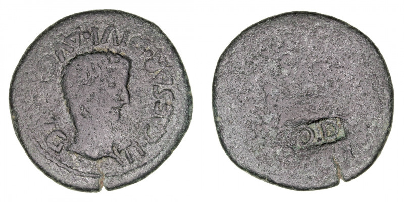Monedas de la Hispania Antigua
Arse, Sagunto
As. AE. Resello D.D dentro de car...