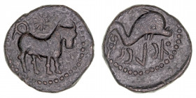 Monedas de la Hispania Antigua
Asido, Medina Sidonia (Cádiz)
Semis. AE. (Hacia 50 a.C.). A/Toro a der., encima estrella. R/Delfín a der., encima (cr...