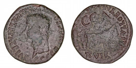 Monedas de la Hispania Antigua
Caesar Augusta, Zaragoza
As. AE. (37-41). A/Cabeza de Calígula a izq., alrededor ley. R/Yunta a der., encima C·C·A y ...