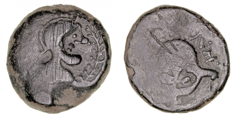Monedas de la Hispania Antigua
Iliberri, Granada
As. AE. A/Cabeza masculina co...