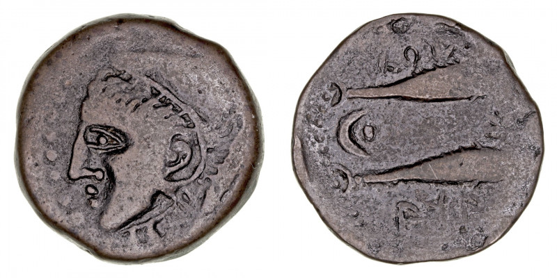 Monedas de la Hispania Antigua
Sexi, Almuñécar (Granada)
As. AE. (200-20 a.C.)...