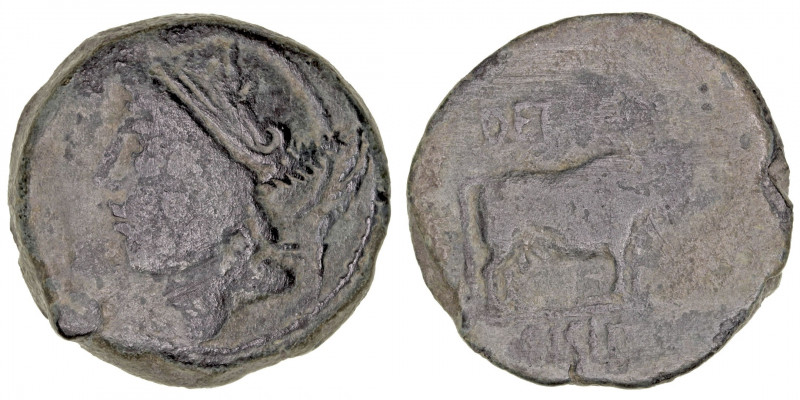 Monedas de la Hispania Antigua
Sisipo, Región Andaluza
As. AE. (50-20 a.C.). A...