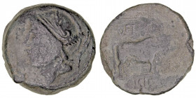 Monedas de la Hispania Antigua
Sisipo, Región Andaluza
As. AE. (50-20 a.C.). A/Cabeza viril con casco a izq. R/Toro a der., encima DETV(MO) y debajo...