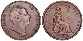Monedas Extranjeras
Gran Bretaña Guillermo IV
Penny. AE. 1834. 19.03g. KM.707. Suave pátina. Rara así. MBC+/EBC-.