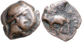 PARTHER, Mithradates I., 171-138 v.Chr., AE 15 =Dichalkon, Ecbatana. Diad. Büste r. Rs.Elefant r. 2,98g.
selten, f.ss/s
Mitch.486; Sellwood 12/16