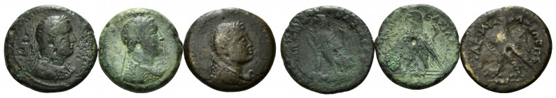 ÄGYPTEN, Ptolemaios III., 246-221 v.Chr., AE 20. Belorb. Kopf des Ptolemaios r. ...