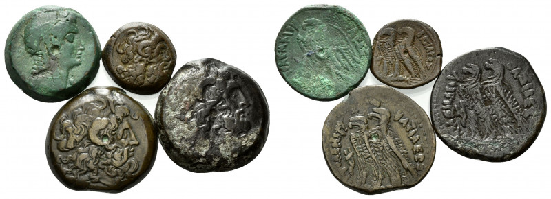 ÄGYPTEN, Ptolemaios V., 204-180 v.Chr., AE 25. Kopf Kleopatras I. r. Rs.Adler mi...