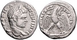 RÖMISCHES REICH, Caracalla, 198-217, AR Tetradrachme, Seleucis und Pieria, Stadt Antiochia. Belorb. Kopf. Rs.Adler mit Kranz r. 13,24g.
ss
Sear 2650...