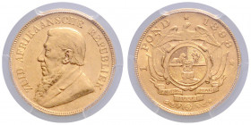 SÜDAFRIKA, Zuid Afrikaansche Republiek, 1852-1910, Krueger Pound 1898. -Mwst befreit-
GOLD, PCGS AU53
Frbg.2; KM 10.2