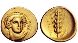 Greek Coins 
 Lucania, Metapontum 
 1/3 stater circa 290-280, AV 2.56 g. NIKA Head of Nike, facing three-quarters r., wearing ampyx and double pearl...