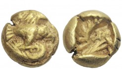 Greek Coins 
 Samos (?) 
 Hecte circa 575, EL 2.85 g. Side view of eagle flying r. Rev. Striated incuse square. Traité pl. 19, cf. 17 (hemihecte). S...