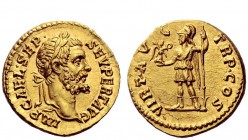 The Roman Empire 
 Septimius Severus, 193 – 211 
 Aureus 193-194, AV 7.25 g. IMP CAE·L·SEP· – SEV·PERT AVG Laureate head r. Rev. VIRT AV – G· – TR P...
