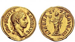 The Roman Empire 
 Severus Alexander, 222 – 235 
 Aureus 228-231, AV 5.89 g. IMP SEV ALE – XAND AVG Laureate bust r. with slight drapery on far shou...