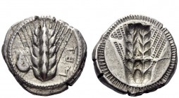 Greek Coins 
 Lucania, Metapontum 
 Nomos circa 470-440, Ar 8.10 g. Ear of barley; to l., ram’s head. Rev. Incuse ear of barley. Noe 223. Historia N...