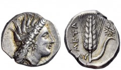 Greek Coins 
 Lucania, Metapontum 
 Nomos circa 330-290, AR, 7.89 g. Head of Demeter r., wearing barley wreath. Rev. Ear of barley with leaf to r., ...