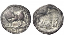 Greek Coins 
 Sybaris 
 Nomos circa 520, AR 7.60 g. Bull standing l., head turned back. Rev. The same type r., incuse. SNG ANS 838. SNG Ashmolean 84...