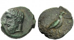 Greek Coins 
 Bruttium, Locri 
 Bronze circa 350-320, Æ 10.17 g. Laureate head of Zeus l. Rev. Eagle standing r., with closed wings. SNG ANS 532. AM...