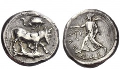 Greek Coins 
 Sicily, Catana 
 Tetradrachm circa 464-450, AR 17.17 g. The river-god Amenanos as bearded, man-headed bull r., r. leg bent at knee; ab...