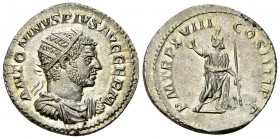 Caracalla AR Antoninianus, Serapis reverse 

 Caracalla (197-217 AD). AR Antoninianus (22 mm, 5.06 g), Roma (Rome), 215 AD.
Obv. ANTONINVS PIVS AVG...