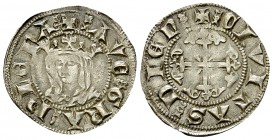 Evêché de Valence et die Die, AR Denier 

France. Evêché de Valence et die Die . Guillaume de Roussillon (1298-1334). AR Denier (20 mm, 1.10 g).
Av...