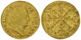 Louis XIV., Louis d'or aux insignes 1704 Y, Bourges 

France, Royaume. Louis XIV (1643-1715). Louis d'or aux insignes 1704 Y (26 mm, 6.67 g), Bourge...