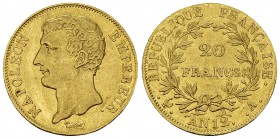 Napoléon I., AV 20 Francs an 12 A, Paris 

France. Napoleon I , as emperor (1804-1814). AV 20 Francs an 12 A (6.46 g), Paris. 
Gad. 1021.

Almost...