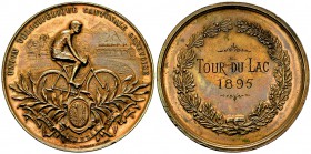 Genf, AE Medaille 1895, Union vélocipédique 

Schweiz. Genf, Kanton. AE Medaille 1895 (48 mm, 53.73 g), Preismedaille der Union vélocipédique canton...