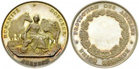 Schweiz, AR Medaille o.J., Protection des animaux 

 Schweiz, Romandie. AR Medaille o.J. (52 mm, 61.95 g), auf die Union Romande pour la protection ...