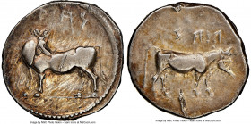 LUCANIA. Laus. Ca. 480-460 BC. AR stater (20mm, 7.86 gm, 7h). NGC VF 4/5 - 3/5, scuffs, brushed. ΛAS, man-faced bull standing left, head reverted / ΛA...